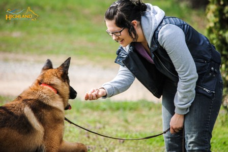 Learn to Be a Dog Trainer | School for Dog Trainers USA