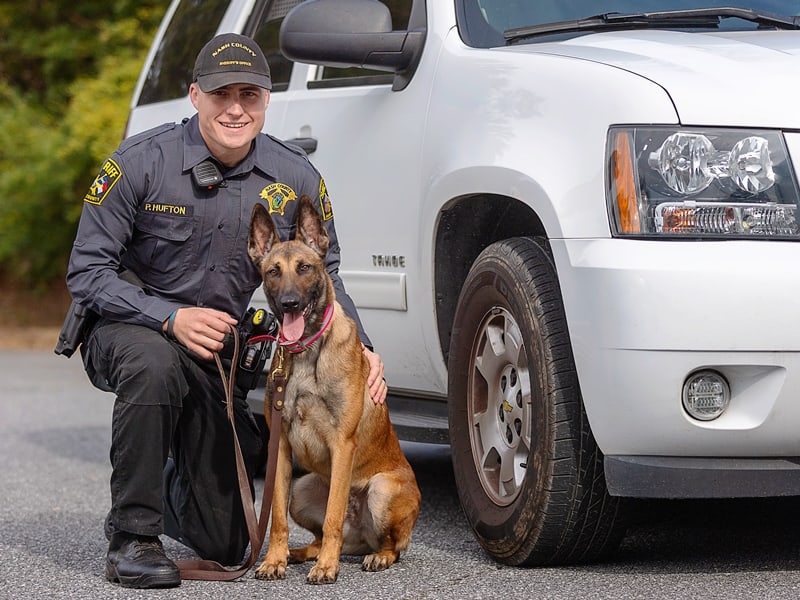 Police K9 Training & Sales Affordable and Reliable Police Dogs